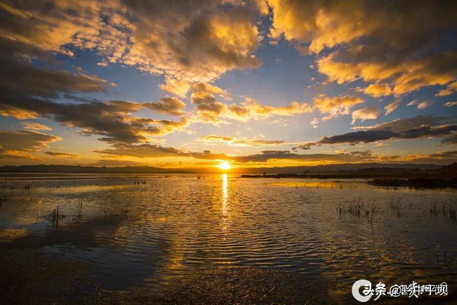贵州草海简介,航拍贵州草海视频