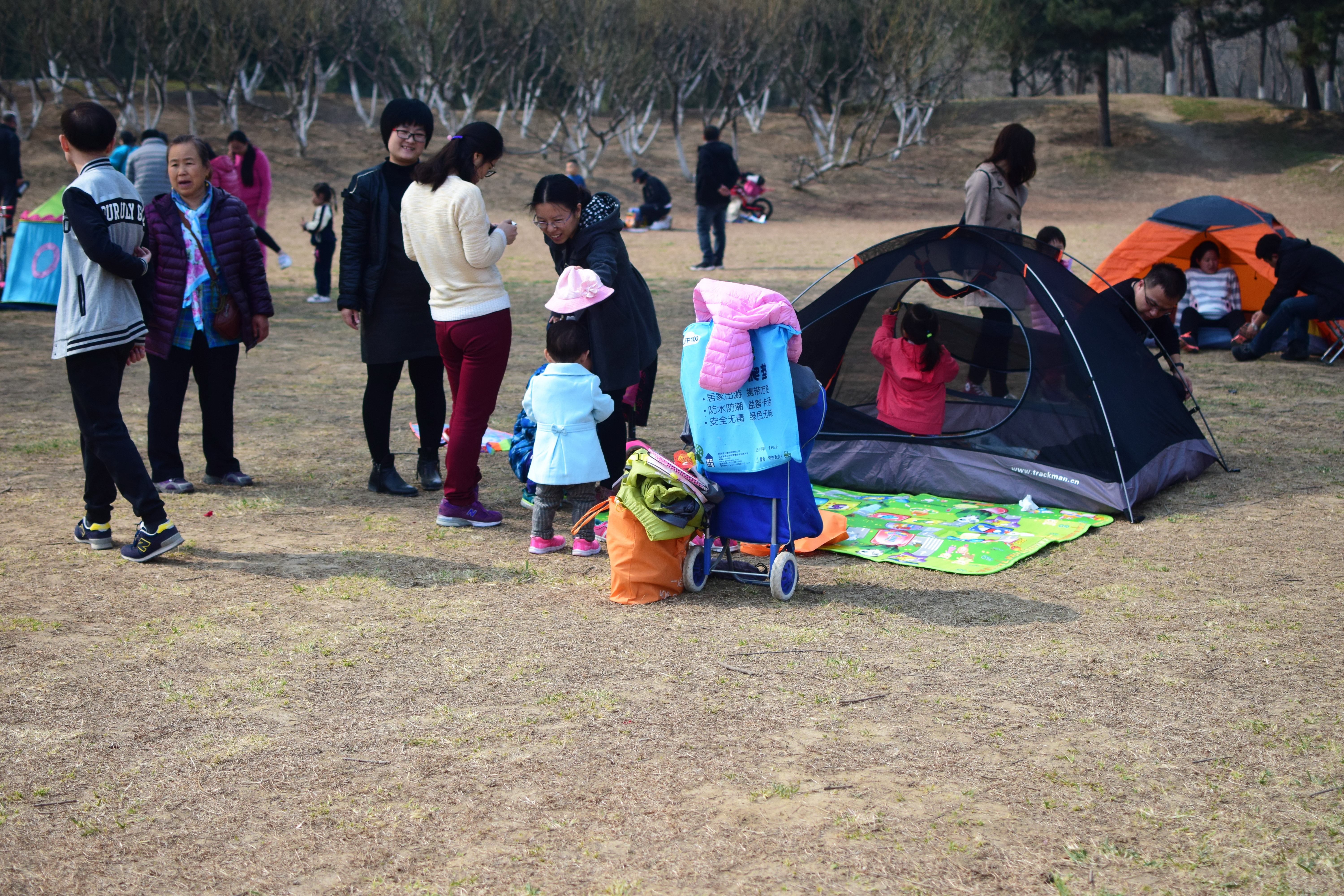 北京奥森冰场关了吗,北京奥森公园9日起闭园