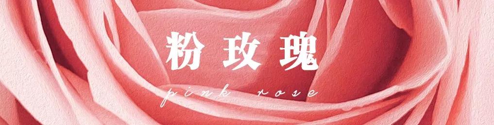 花店必备的5款玫瑰,鲜花图鉴一次性认识30种玫瑰花