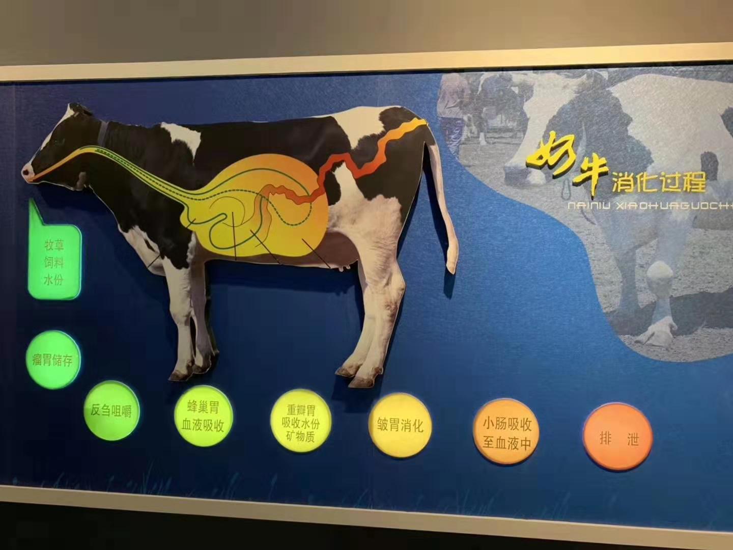 怎么买奶粉划算且安全,代购奶粉跟京东上买奶粉有区别吗