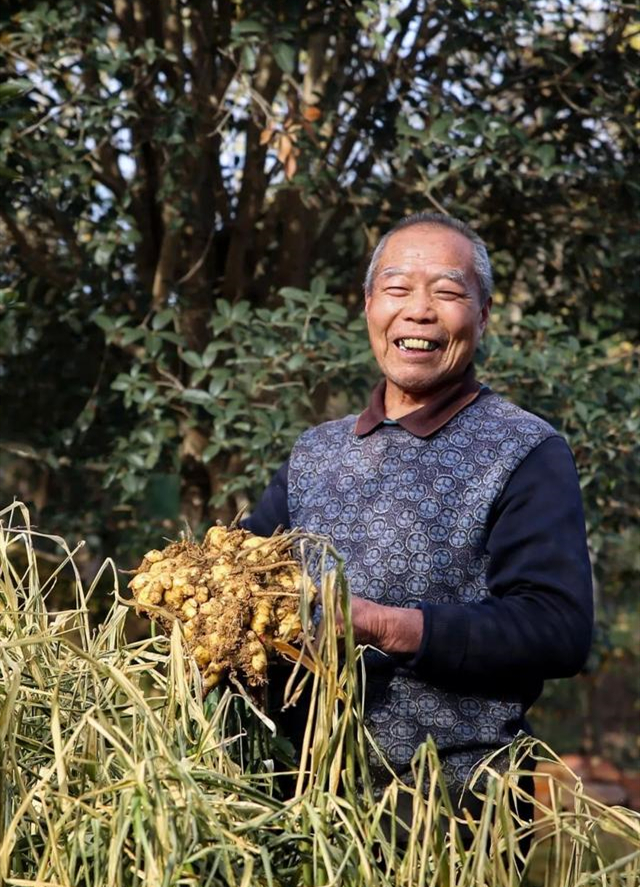 1915年巴拿马博览会发了多少金奖,1915年巴拿马国际博览会