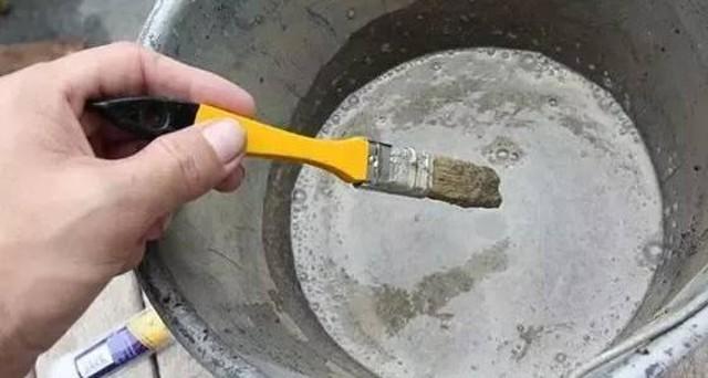 小苔藓最佳治疗方法,小型苔藓微景观怎么养