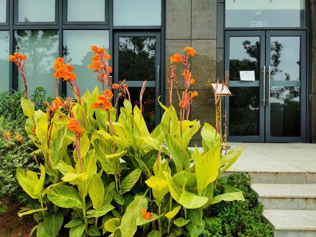 全国第一！华中农业大学真是太太太牛了