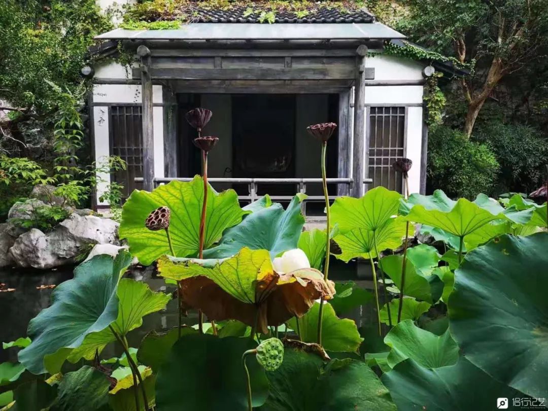 大叔花700万建的花园别墅,太湖石苏州