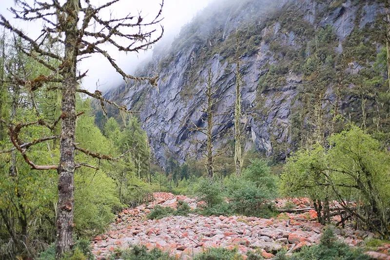 暑假来了！这个安全又宝藏的川西仙境，夏天只有15°