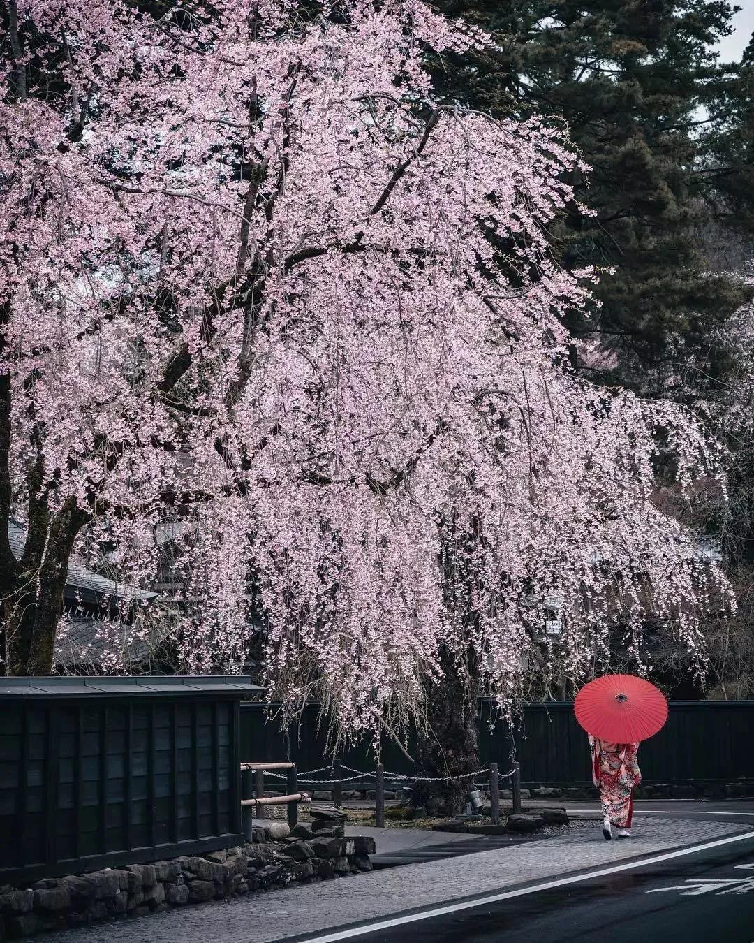 中国最没被认全的邻居,我国未被识别的民族有多少