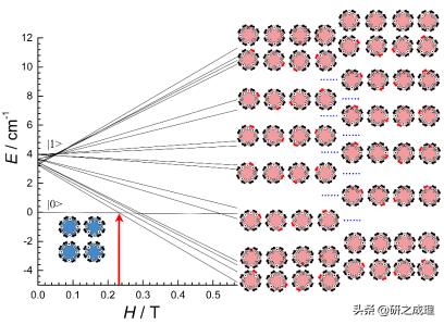 Matter：史上最大的单分子磁环