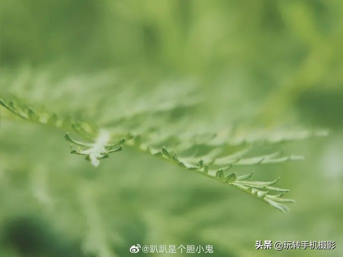 小米手机的遗憾之作,小米手机真香内行人都推荐这三款