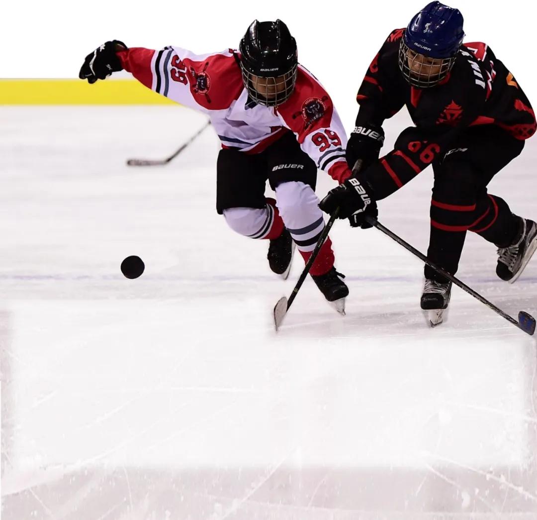 打造文旅新标杆,沈阳建设文化强市赋能城市发展