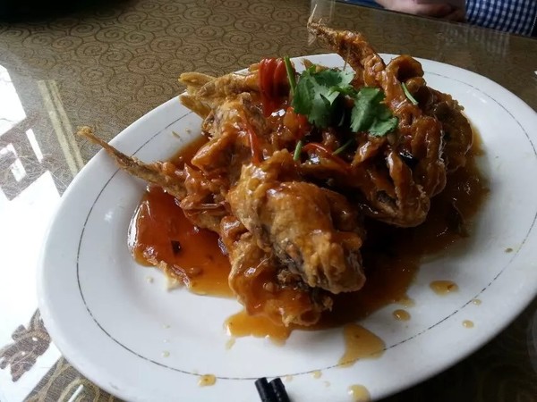 满月第一次出门去哪,大连旅行第一天