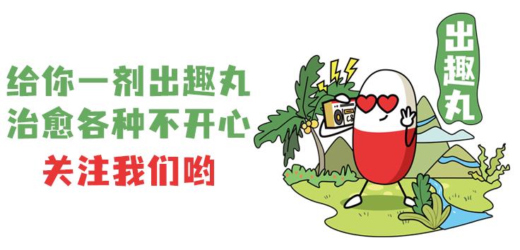 澳门赌场旅游攻略自由行,澳门免费游