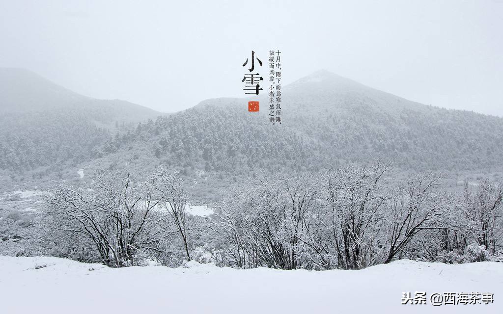 小雪节气一杯热茶就是最好的慰藉,小雪节气煮茶