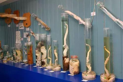 世界上最奇特的100个地方,世界十大奇特的景点