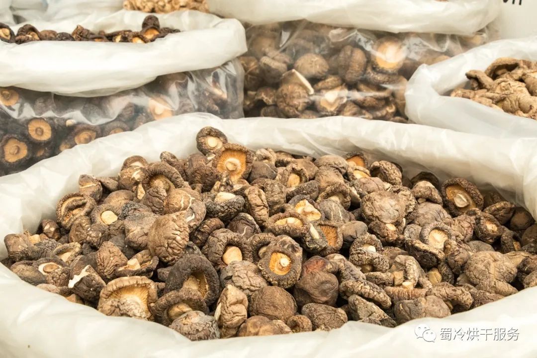 烘干香菇怎么烘才香,香菇柴火烘干好还是机器烘干好