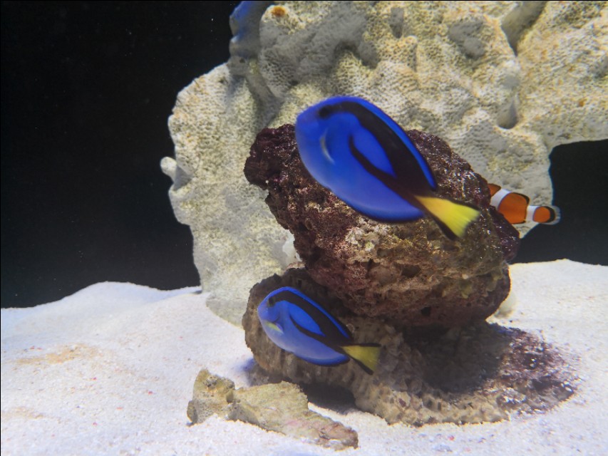 北京工体富国海底世界周一营业,北京工体富国海底世界旅馆