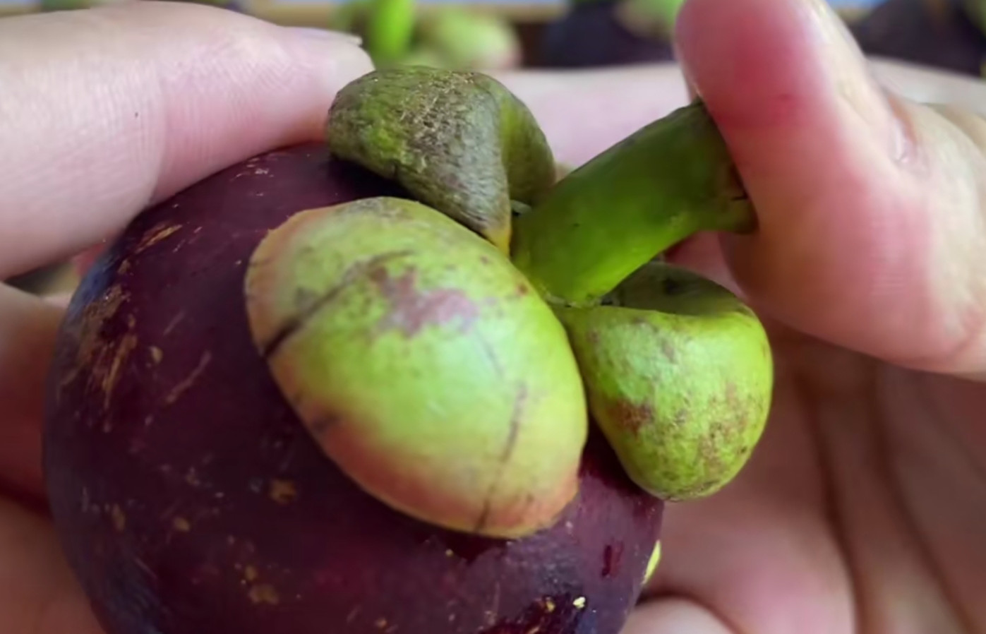 打开山竹原来这么简单,山竹的正确打开方式和技巧