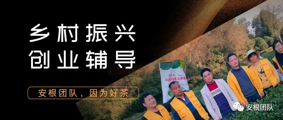 乡村振兴与电商创业项目,与乡村振兴有关的创业项目