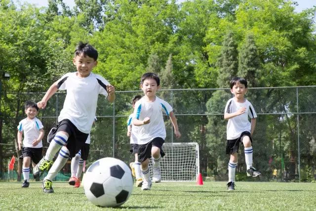 新梦想足球俱乐部,新梦想青少年足球