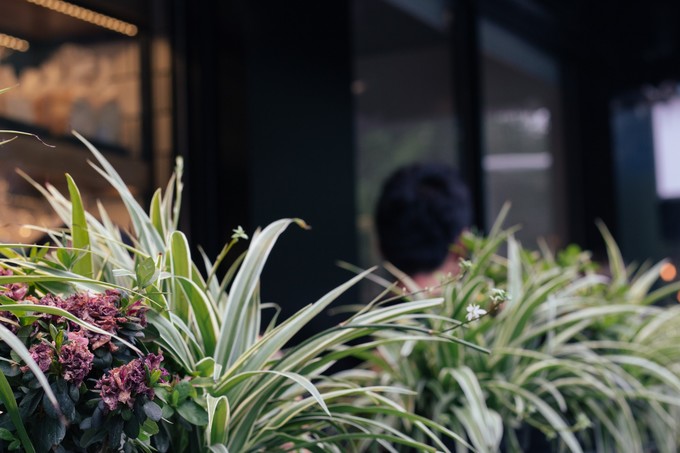 成都可以逛的老街,成都比较有特色的老街