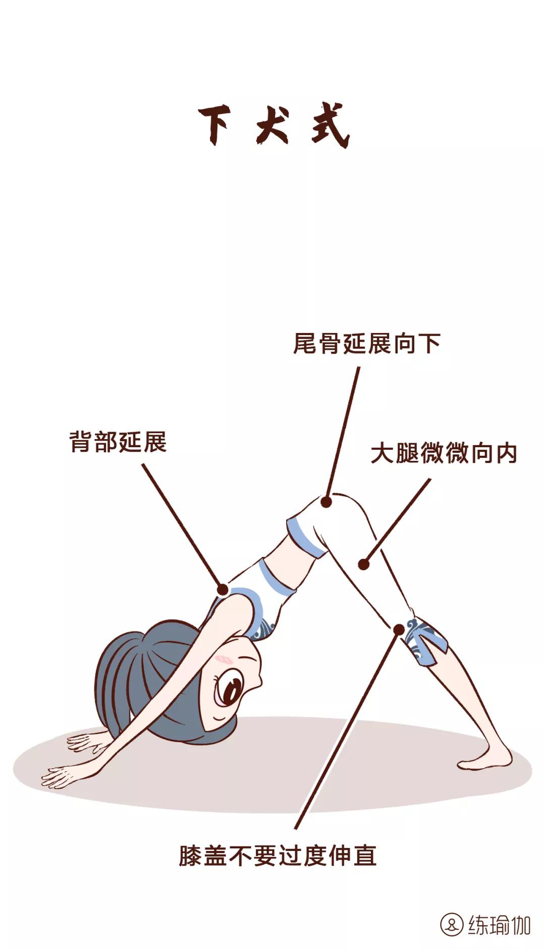 瑜伽下犬式的正确方法,瑜伽下犬式的发力点在哪里