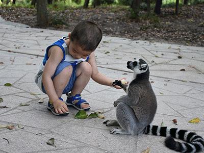 926来了！一起嗨购会员节吧