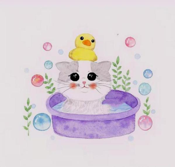 抛开烦恼的幽默句子,幽默慵懒而干净的句子