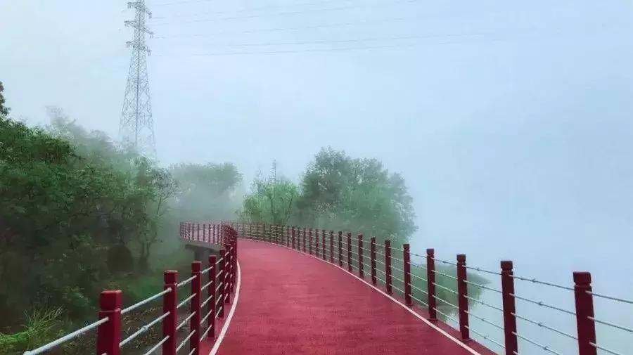 250公里!颜值爆表!杭州这条世界级景观长廊,最新进展抢鲜看