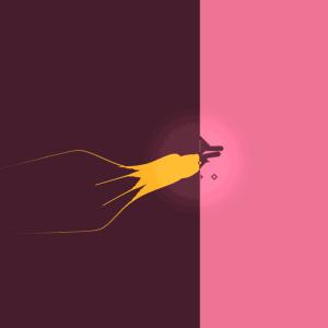 动物的英语词语,动物的英语句子有哪些