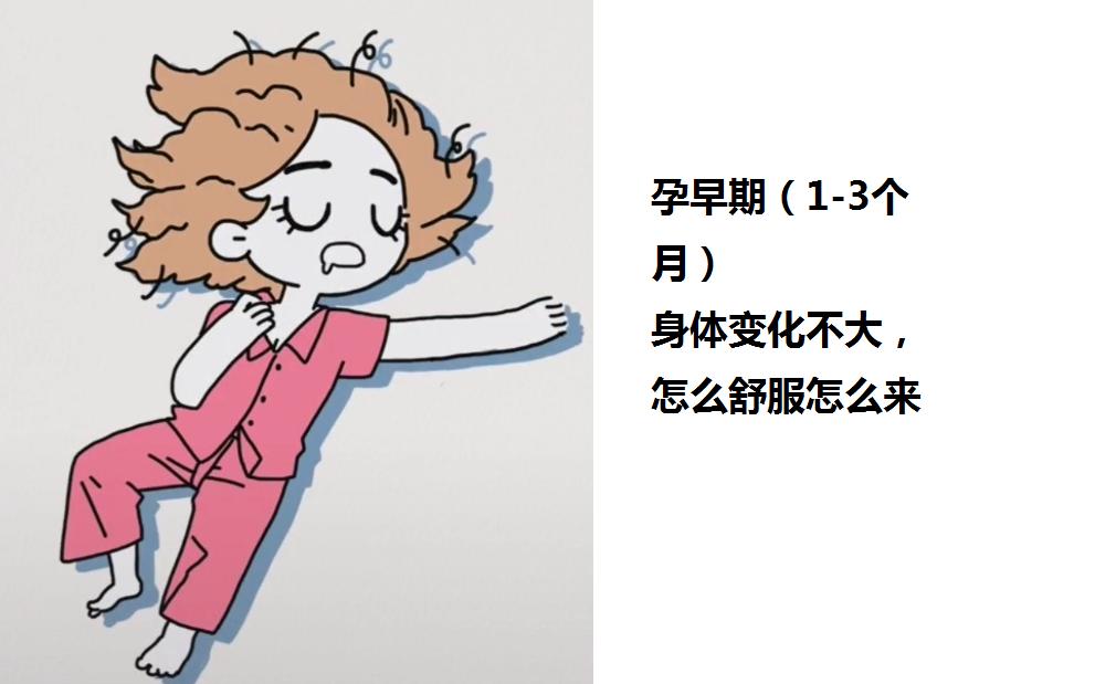 孕期怎么睡才算左侧睡,孕期左侧睡的正确姿势图