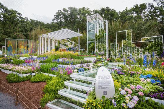未来10天预警，深圳最最最最火的地方在这里，美女都赶来打卡