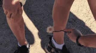 年度最搞笑沙雕动图,最近搞笑的动图