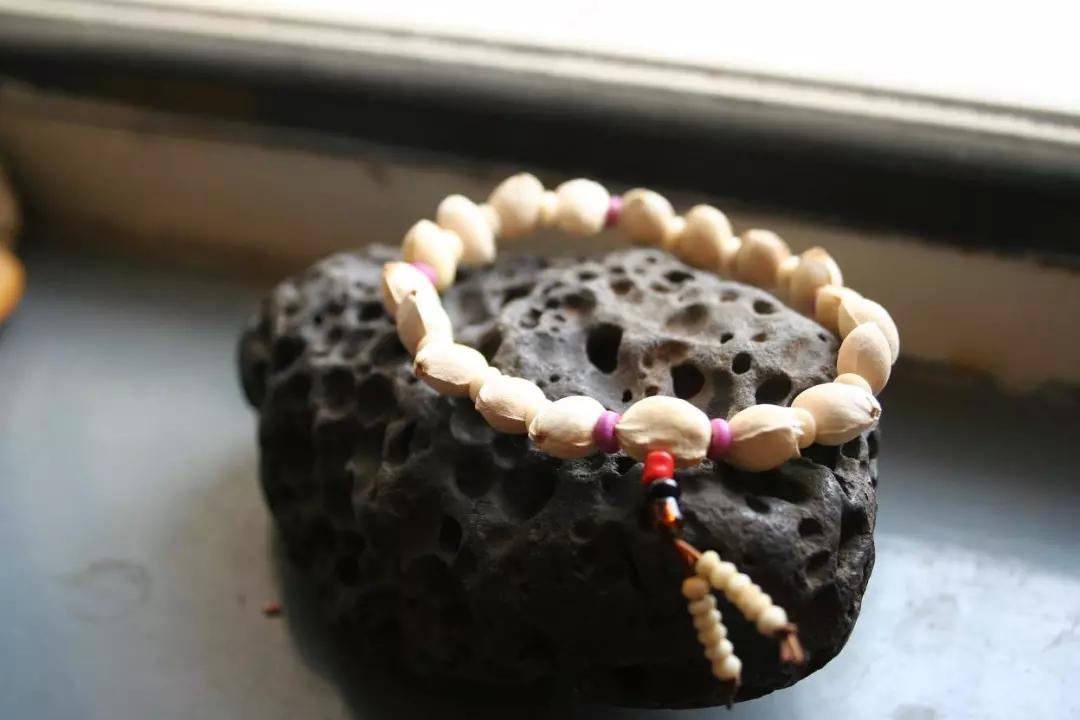 吃剩的水果核不要丢弃,吃剩的樱桃籽能种吗