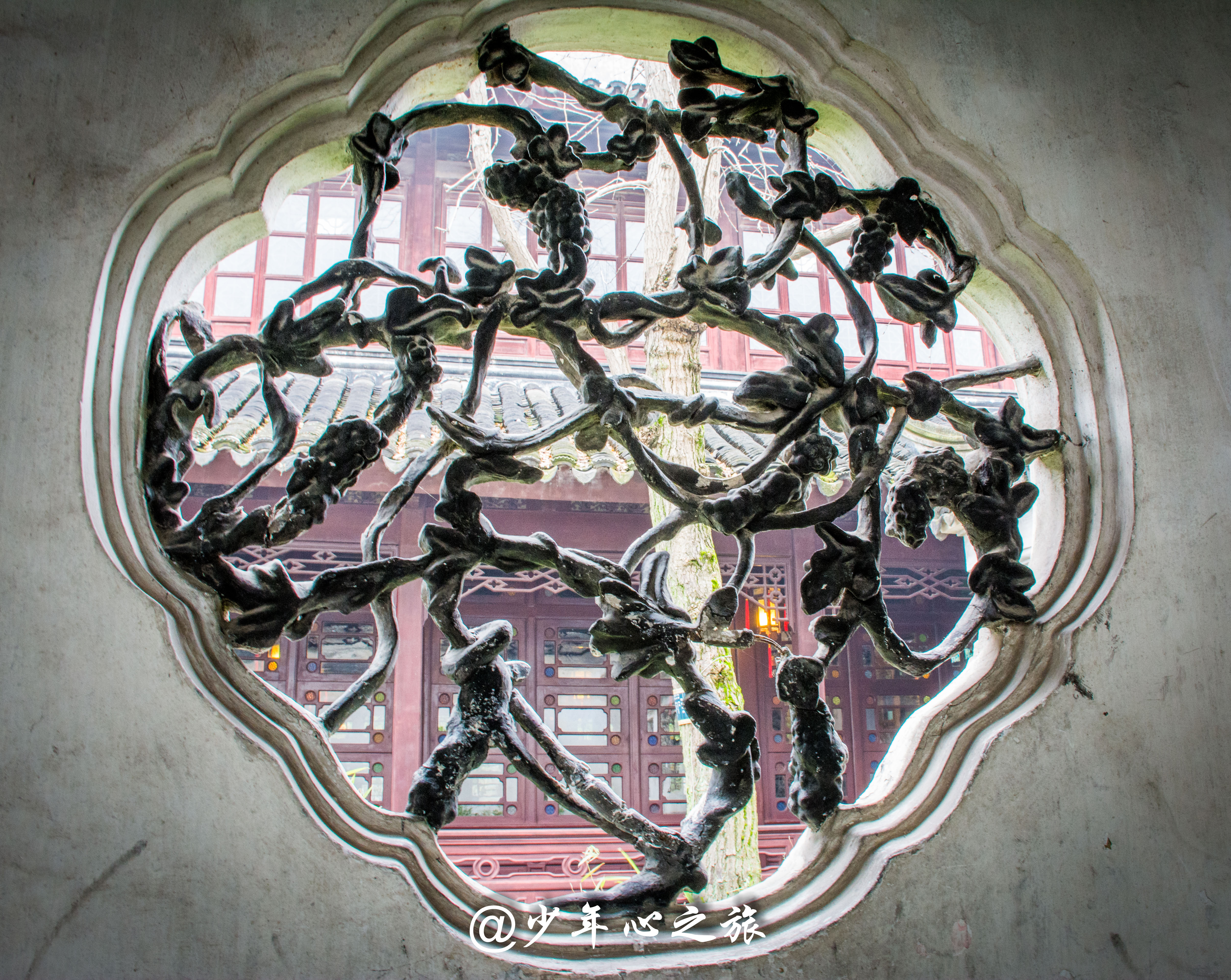 适合孩子逛的苏州园林,苏州好看的古园林