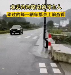 b站必看的综艺,b站能看的综艺推荐