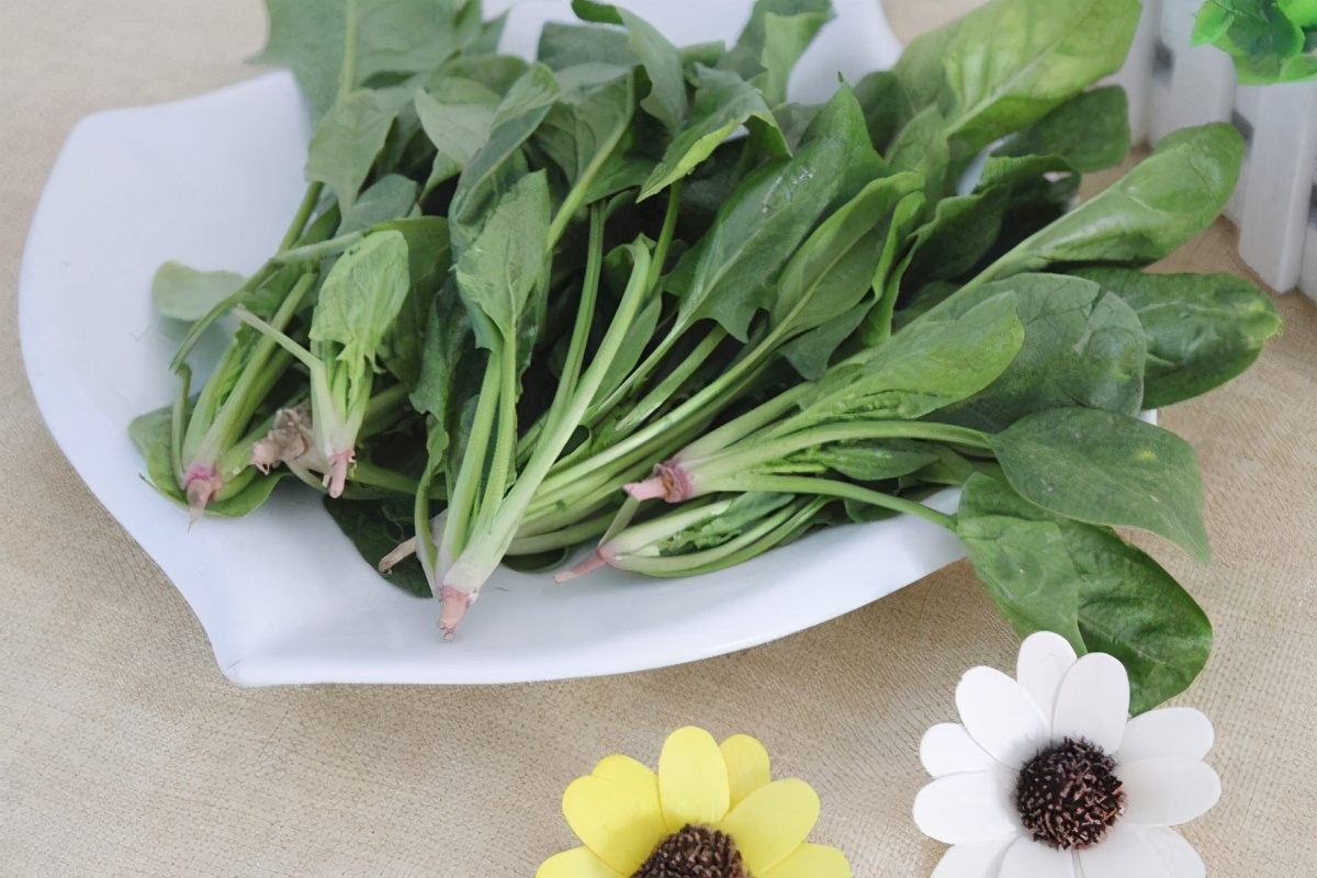 治疗叶酸与补充叶酸有什么区别吗,正常成年人补充叶酸每天多少合适