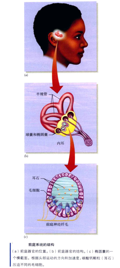 心理学的生物学基础知识,生物心理学知识书籍