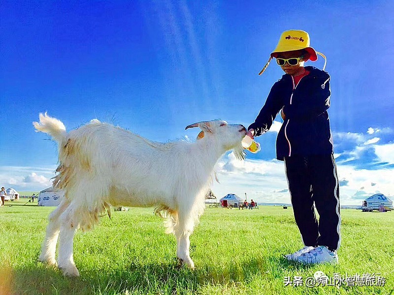 手绘套娃教程,列巴手绘套娃