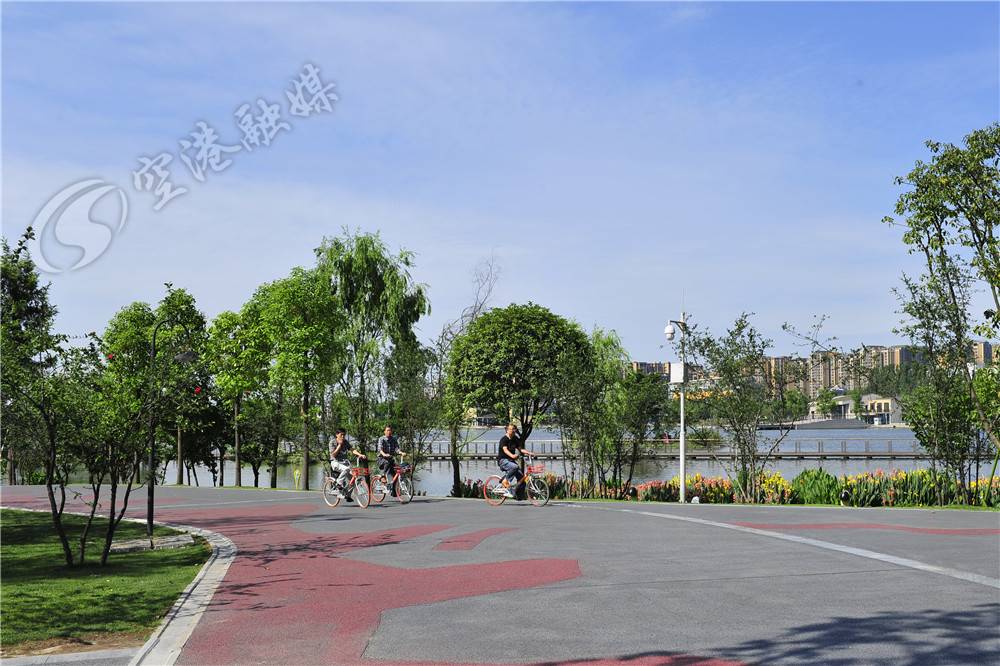 一条河记载了时光的变迁与沧桑,从一条河开始的无限进化免费阅读