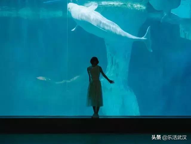 原来武汉有这么多好玩的打卡地,武汉周边新晋7大网红打卡地