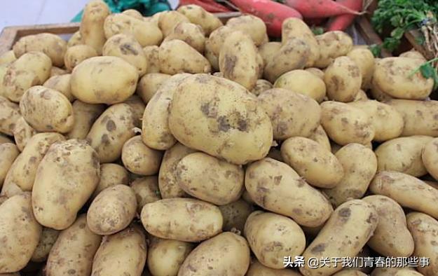 土豆容易发芽难保存怎么办,土豆没发芽变青中毒自救三招