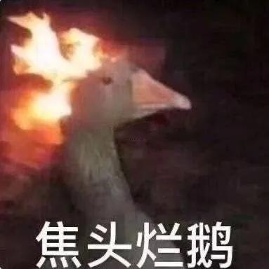 直播带货赚佣金容易的骗局,重磅爆料十大直播带货骗术