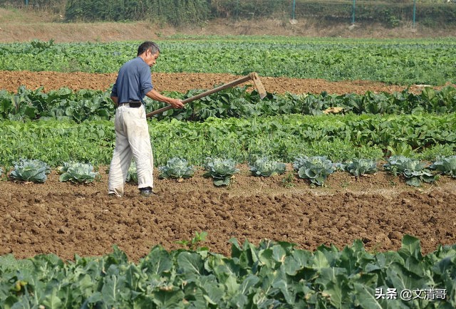 保安每天工作12小时一年没有休息,保安一天12个小时的工作累吗