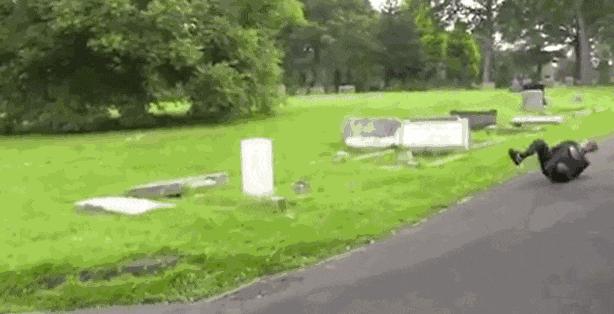 公狗与母狗有什么区别,公狗跟母狗有什么区别吗