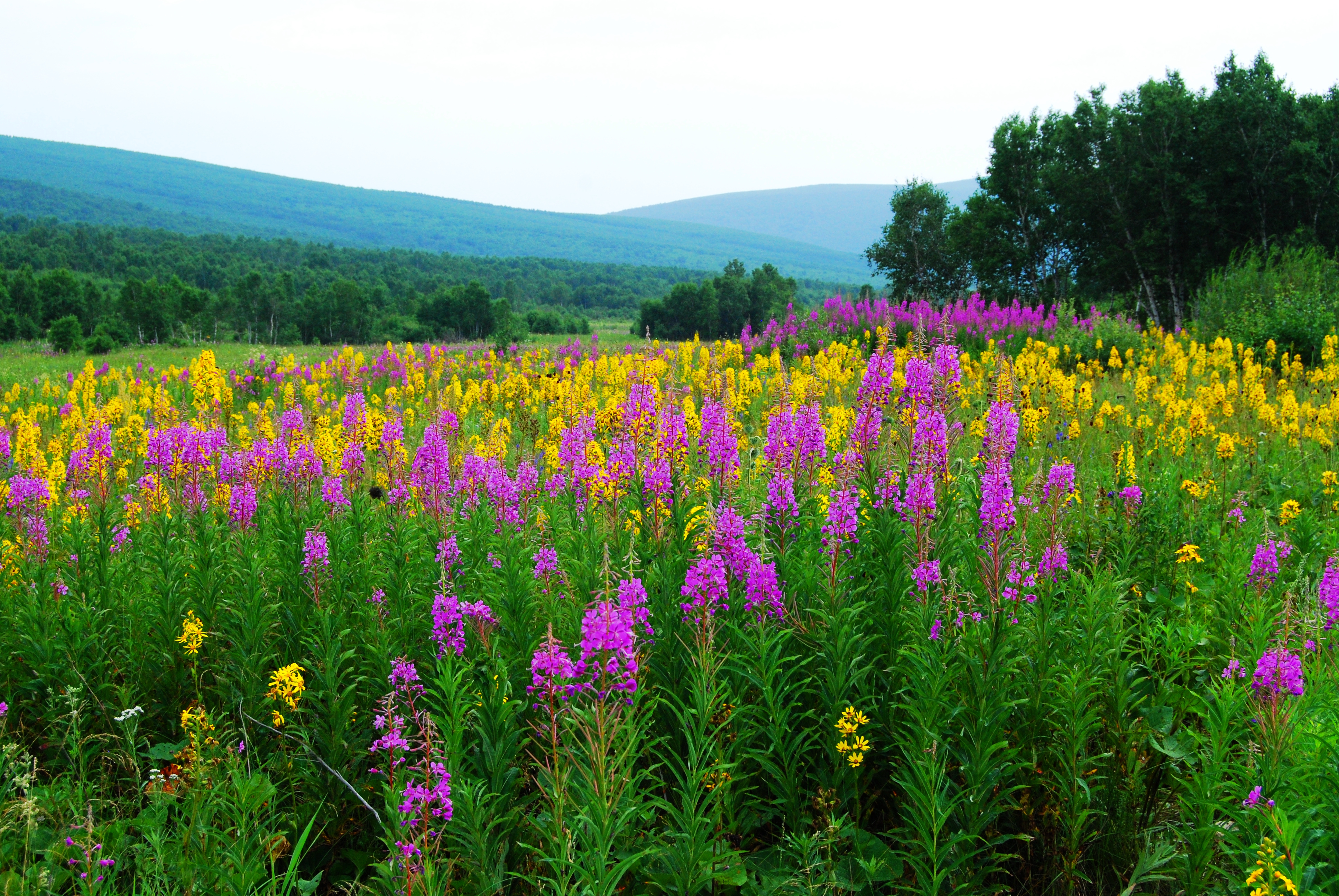 一辆车，从东乌旗沿中蒙边境公路到阿尔山，漫长边关寻迹历史遗存