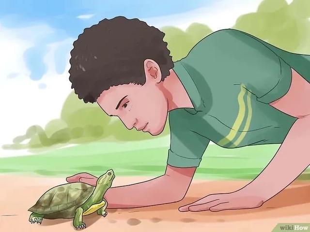 龟怎样才算认可主人,怎么增加和龟的互动性