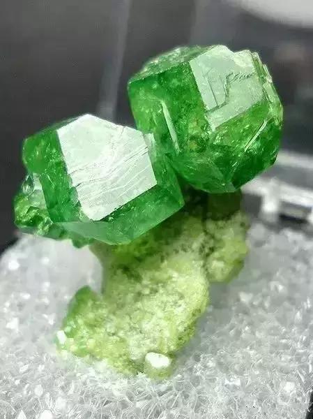 世界上令自己眸生情,见到后再也不爱别人的51个丽人