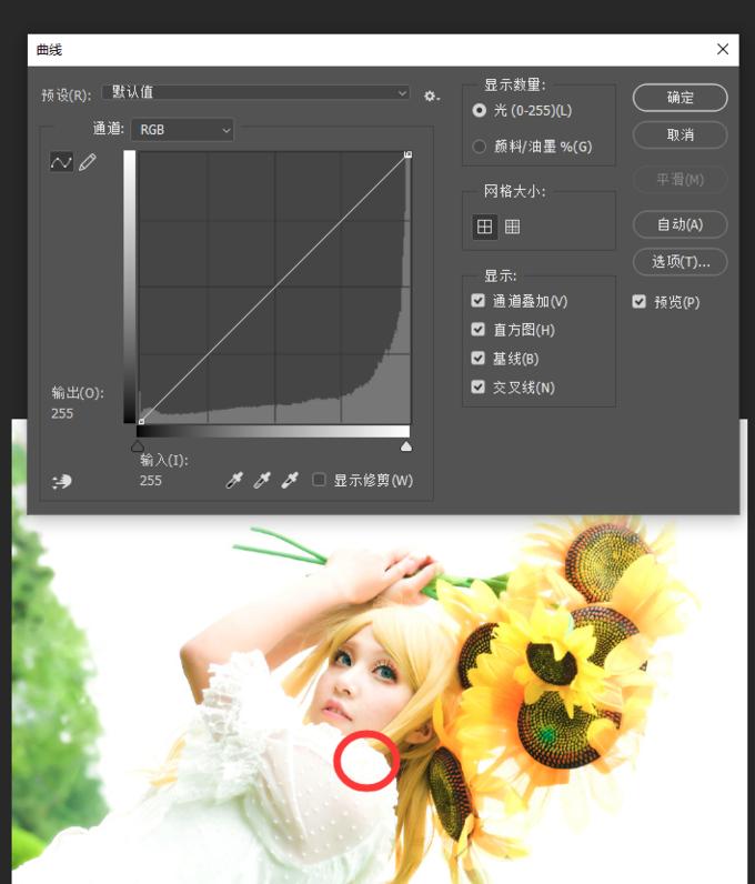 自学摄影胶片,自学照相机教程
