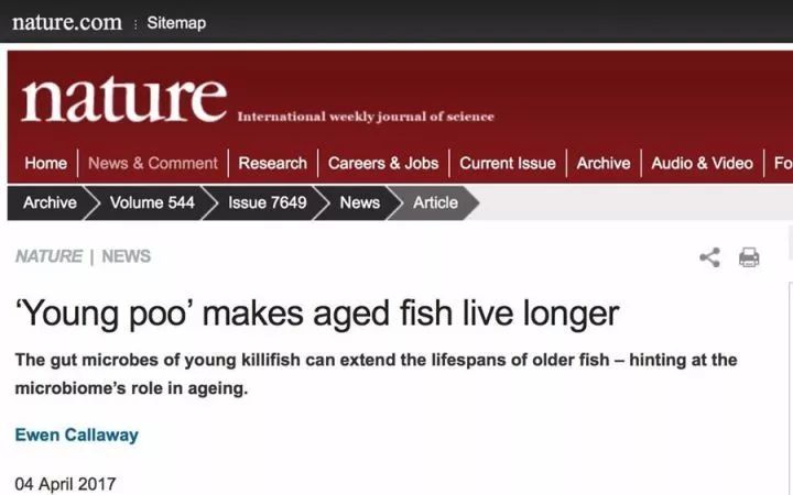 动物为什么会吃掉自己的粪便,动物吃粪便的原因