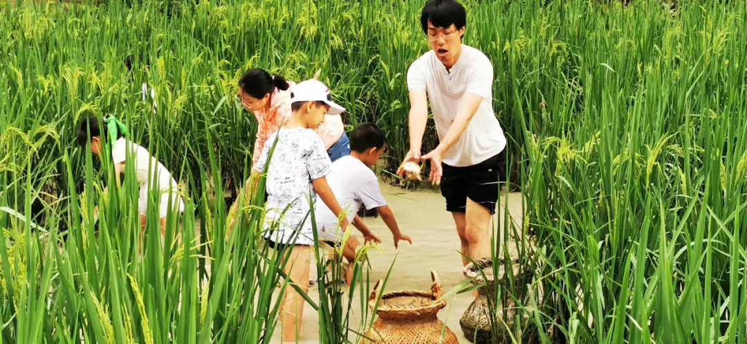 6-12岁最重要的25件事