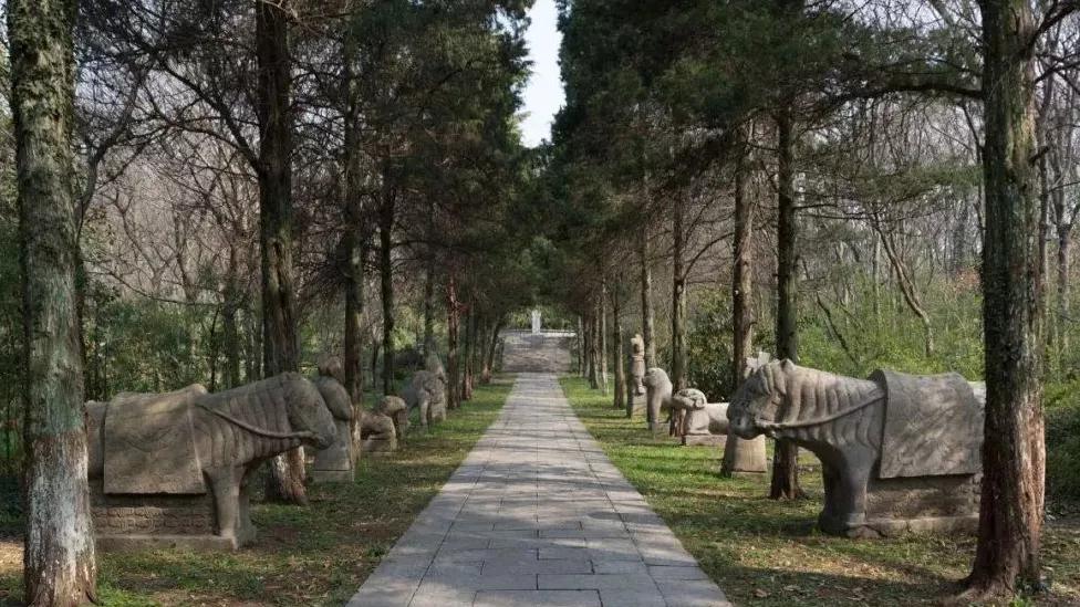 南京最新景点门票一览表,南京景点优惠政策